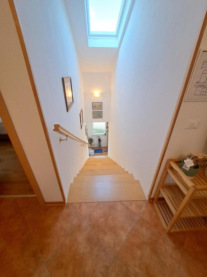 Appartement Casa Antonio With Swimming Pool à Novigrad Istria Extérieur photo